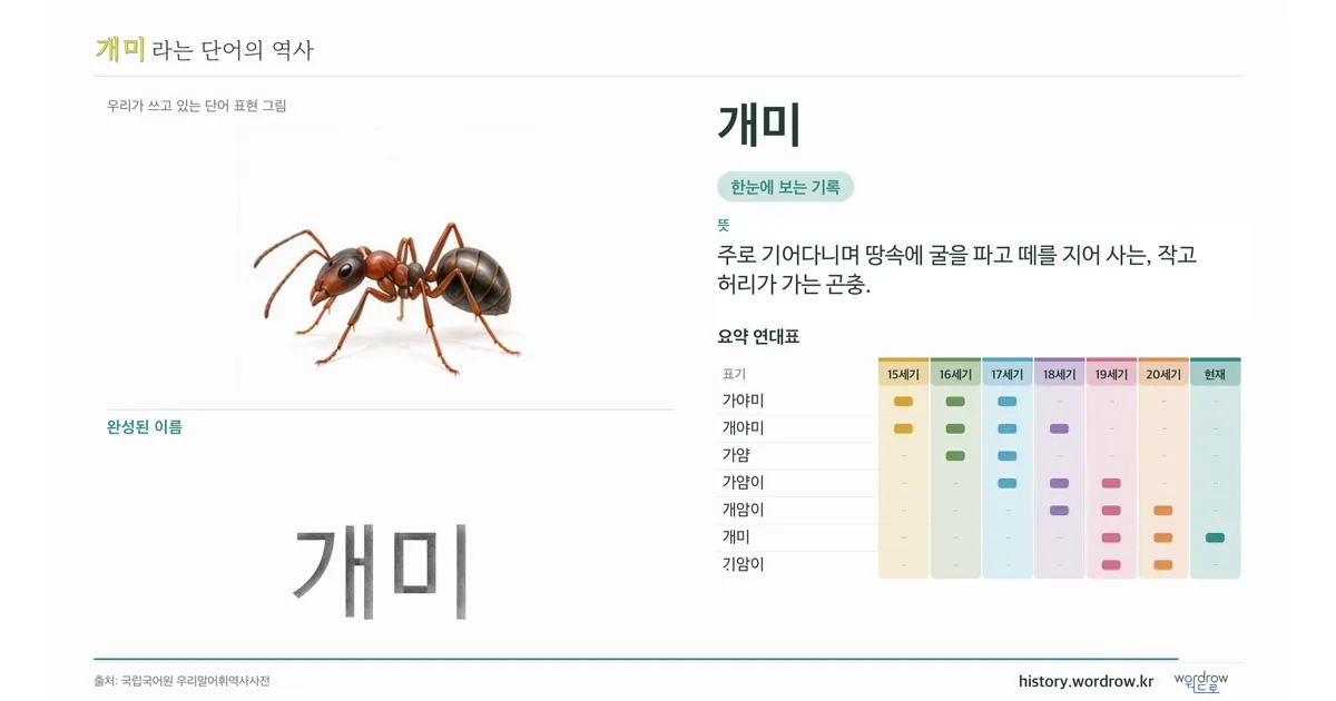 개미 대표 이미지