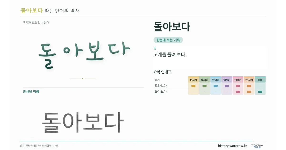 돌아보다 대표 이미지