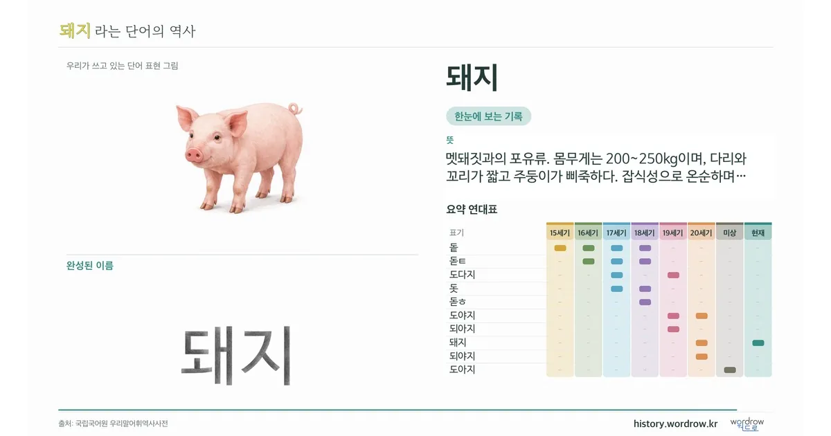 돼지 대표 이미지