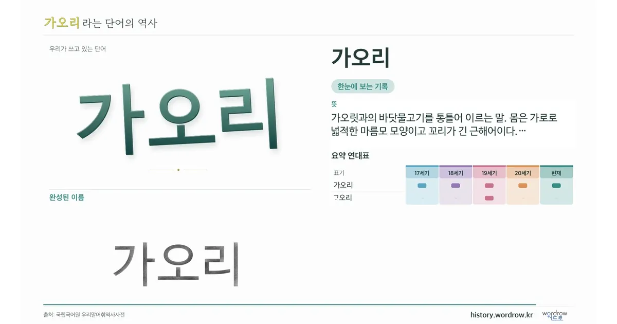 가오리 대표 이미지