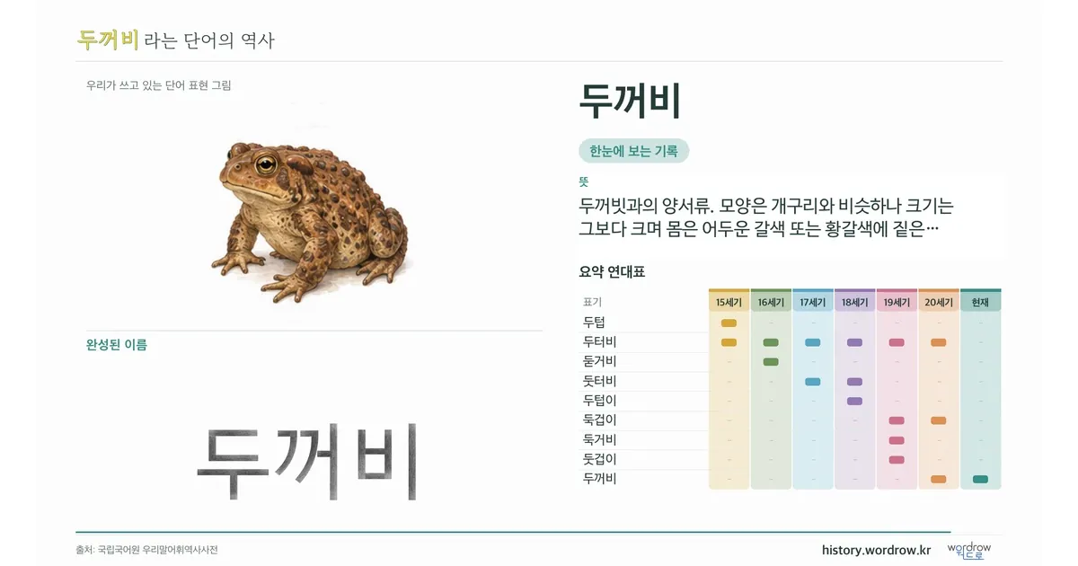 두꺼비 대표 이미지