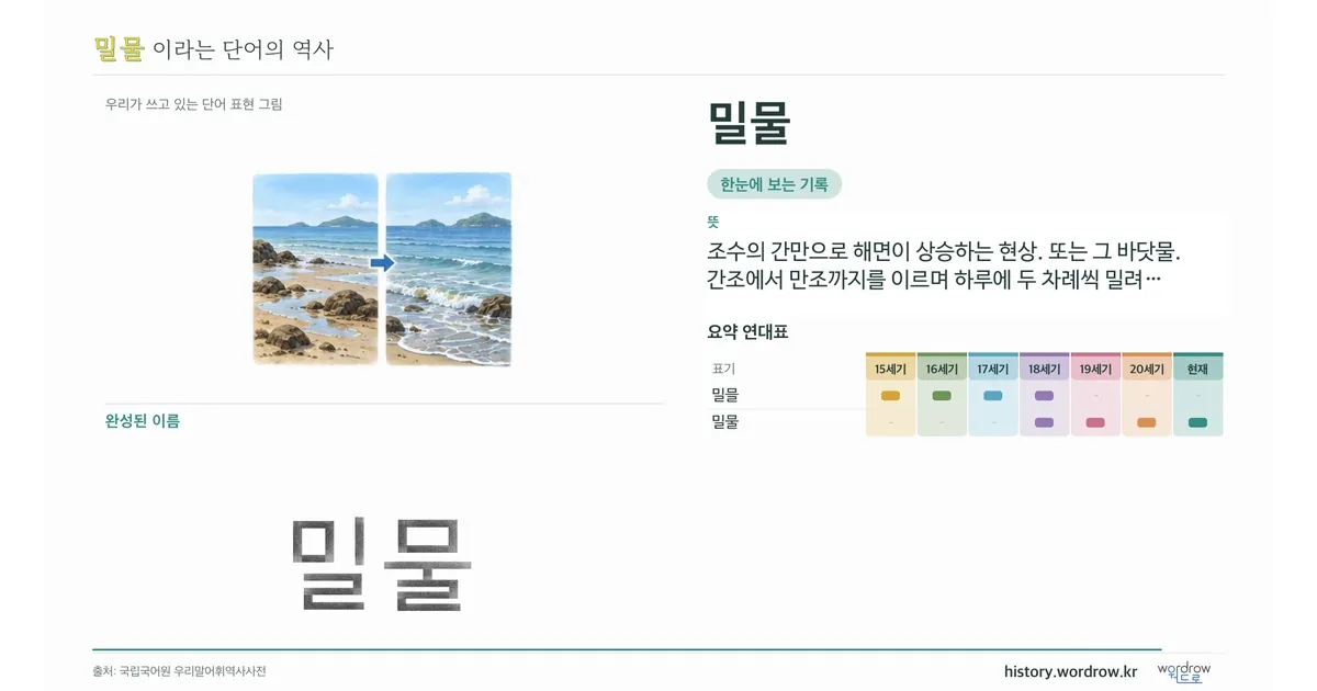 밀물 대표 이미지