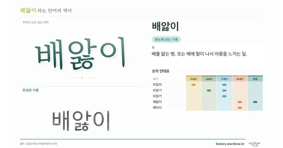 배앓이 대표 이미지