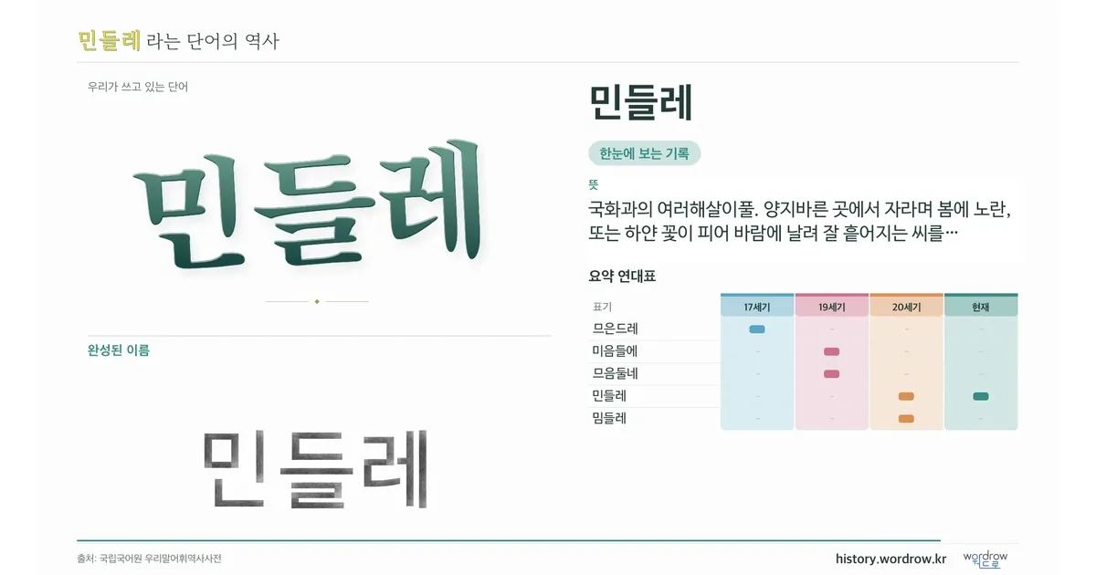 민들레 대표 이미지