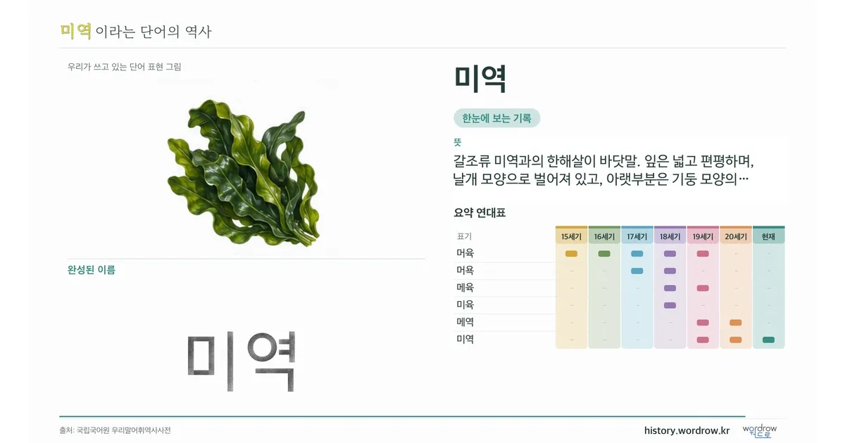 미역 대표 이미지