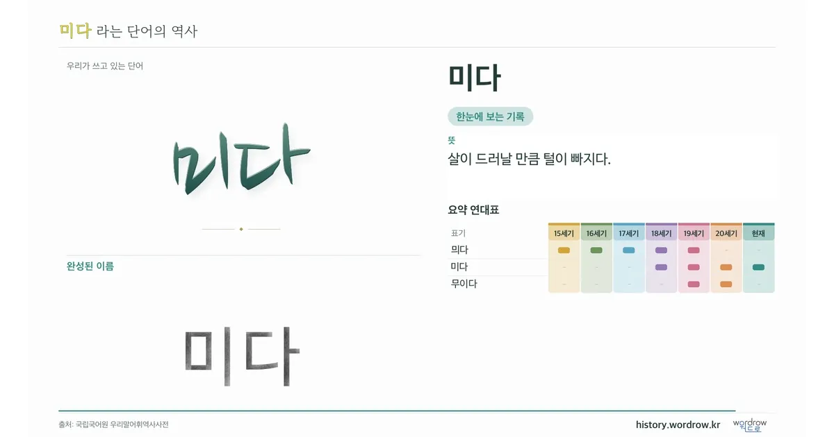 미다 대표 이미지