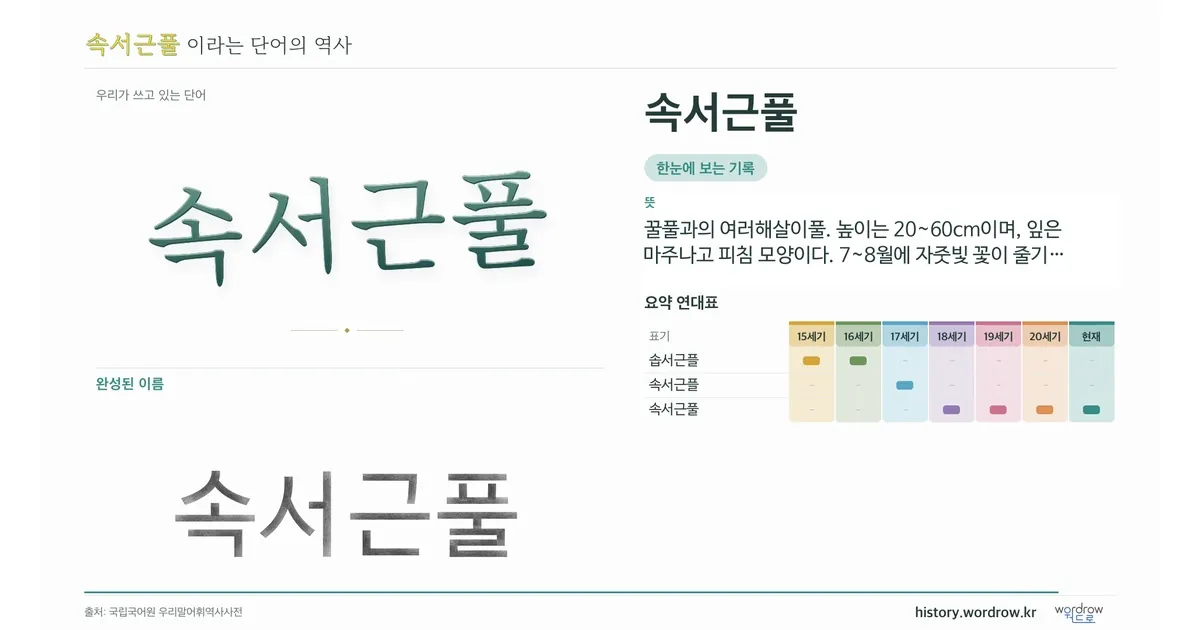 속서근풀 대표 이미지
