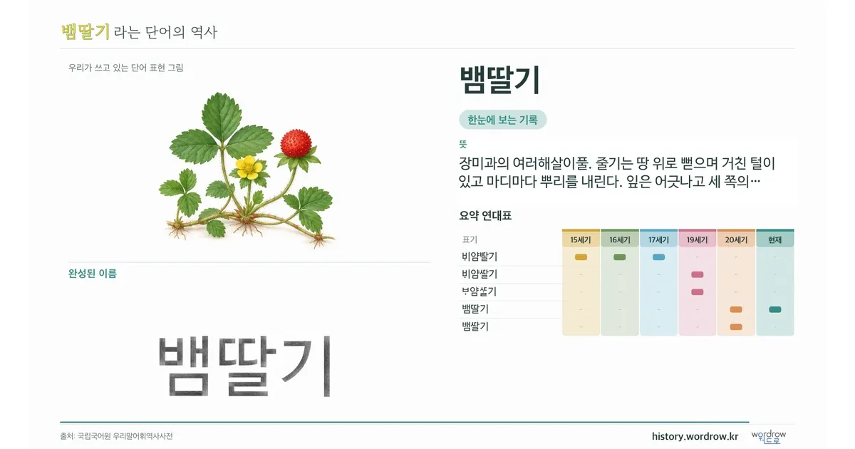뱀딸기 대표 이미지