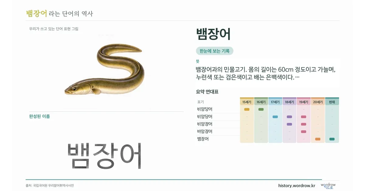 뱀장어 대표 이미지