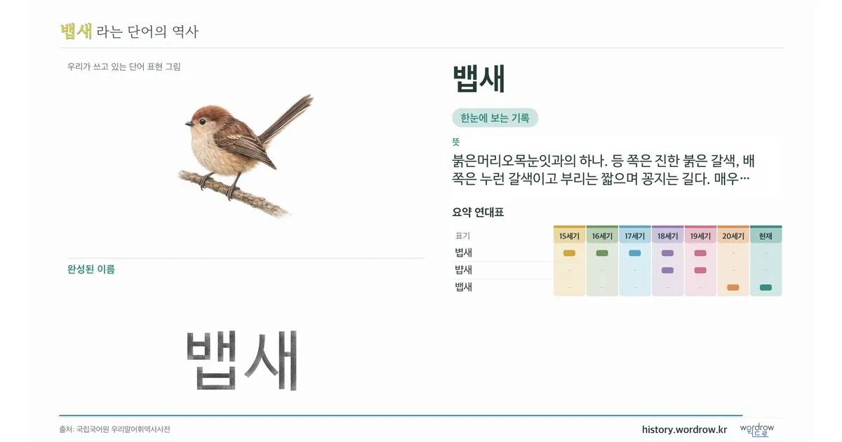 뱁새 대표 이미지
