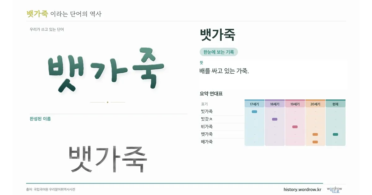 뱃가죽 대표 이미지