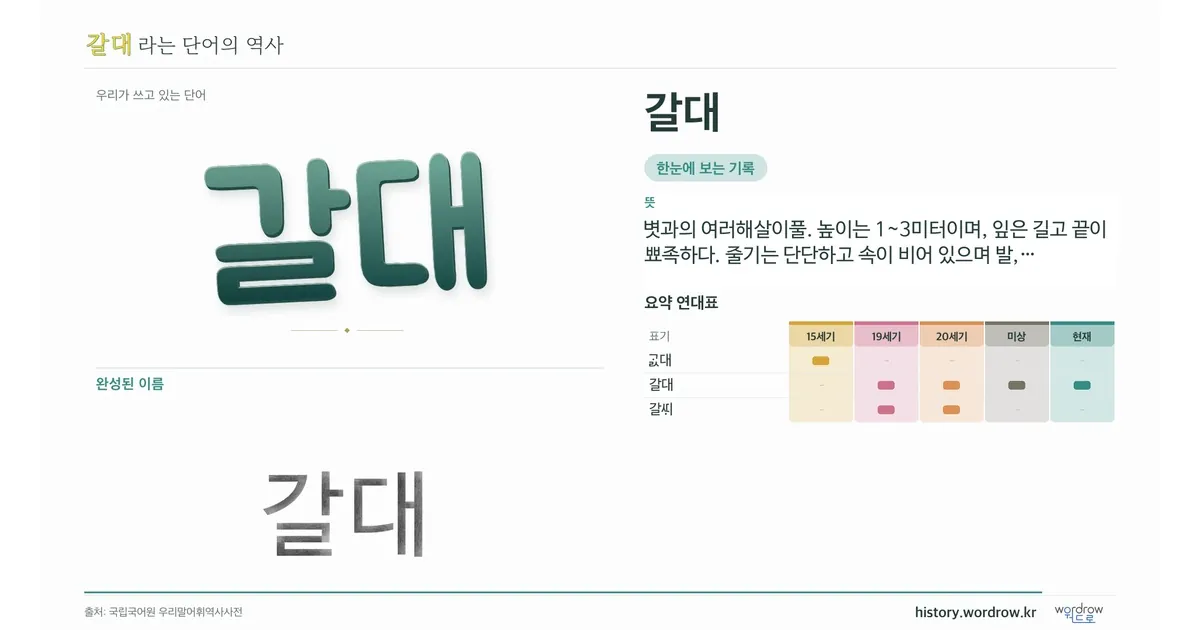 갈대 대표 이미지