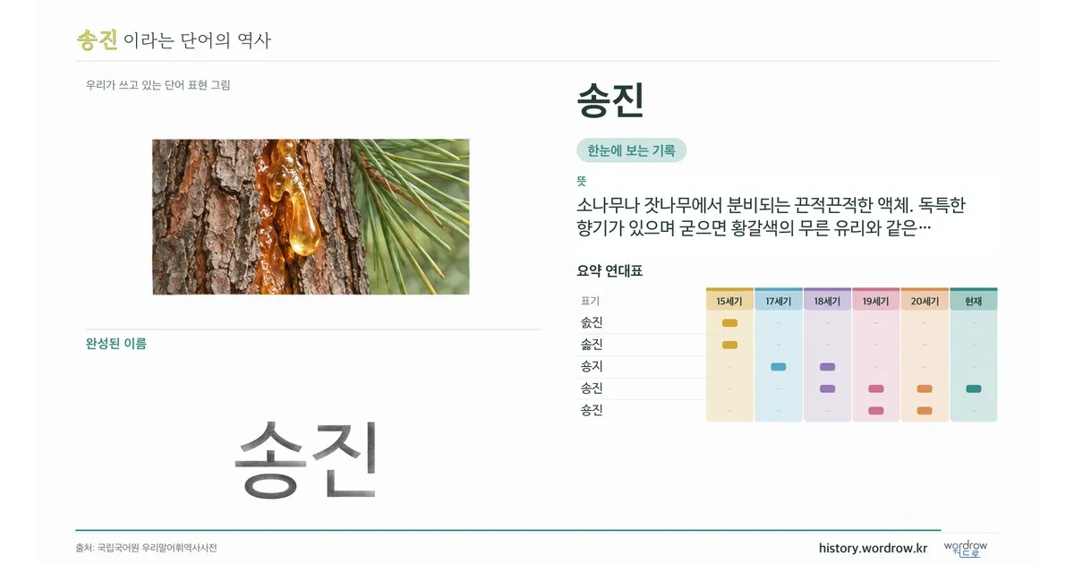송진 대표 이미지
