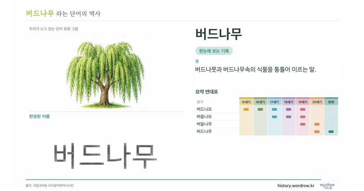 버드나무 대표 이미지