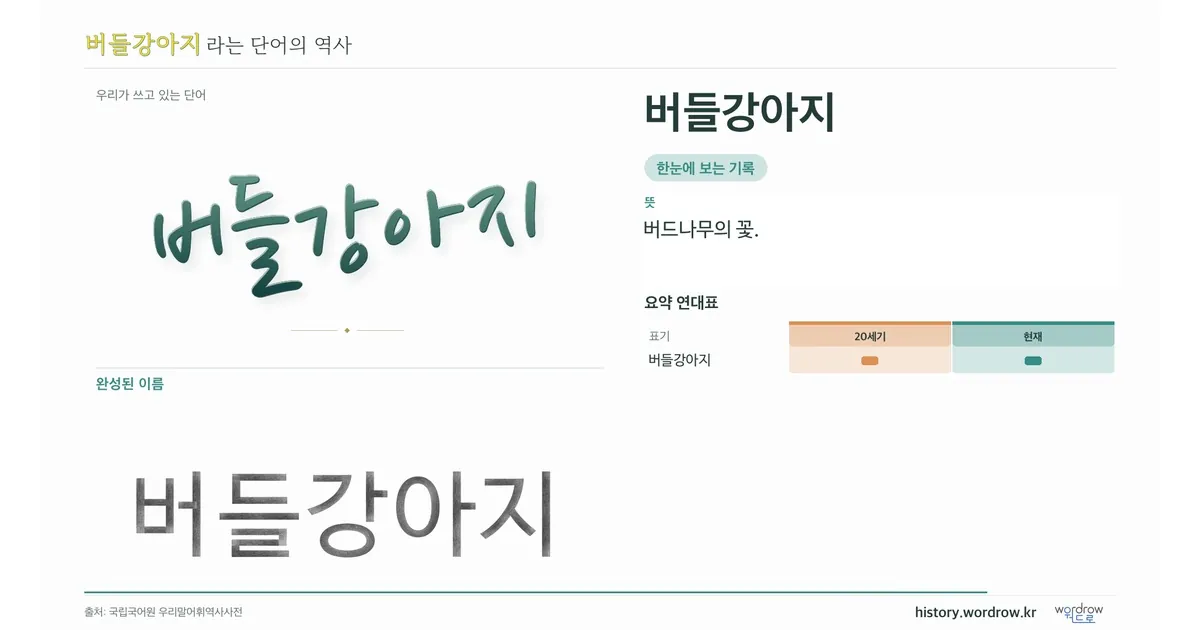 버들강아지 대표 이미지