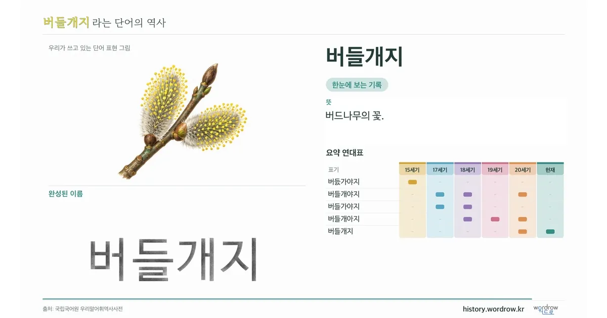 버들개지 대표 이미지