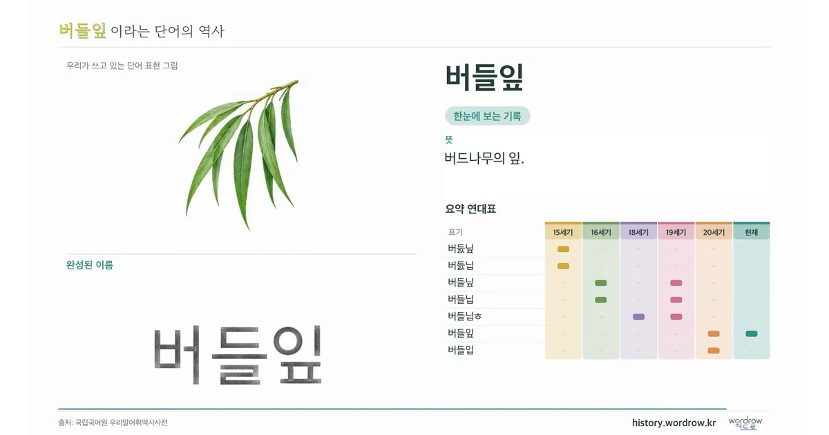 버들잎 대표 이미지