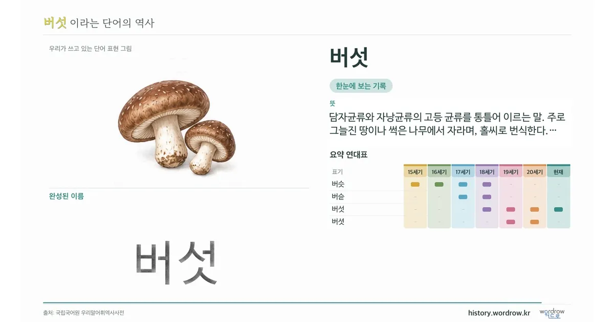 버섯 대표 이미지