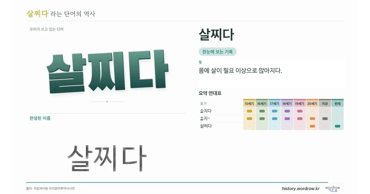 살찌다 대표 이미지