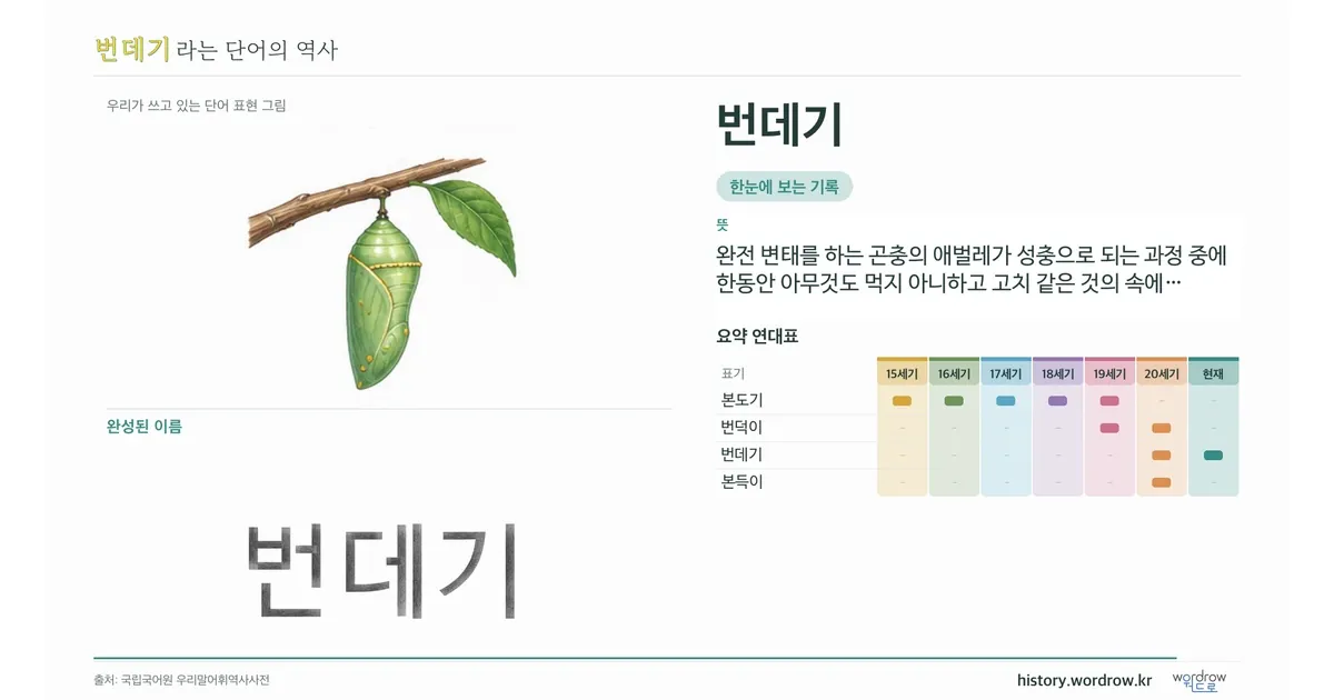 번데기 대표 이미지