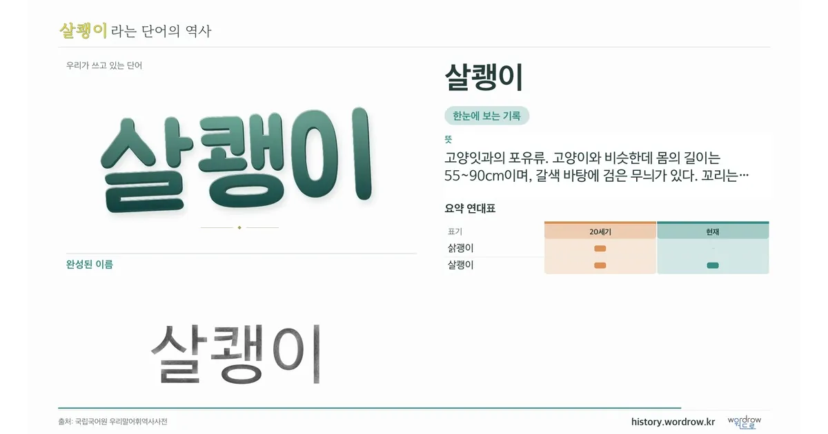 살쾡이 대표 이미지