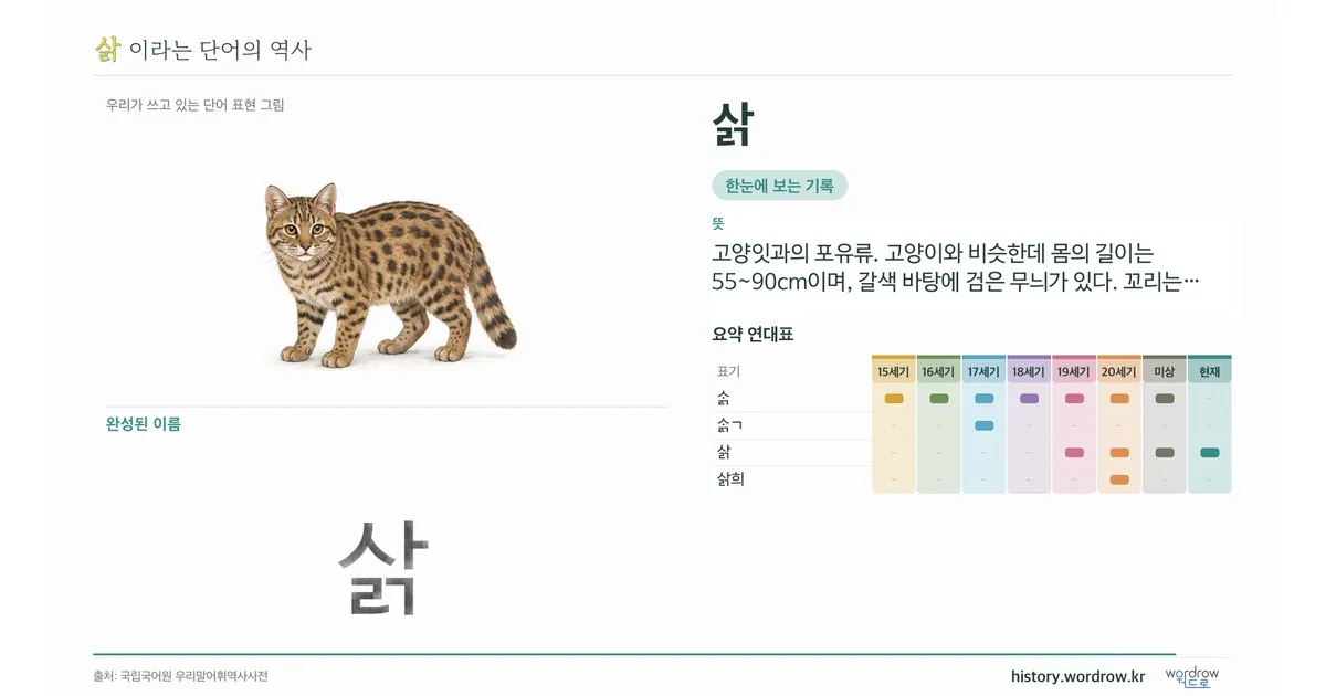 삵 대표 이미지