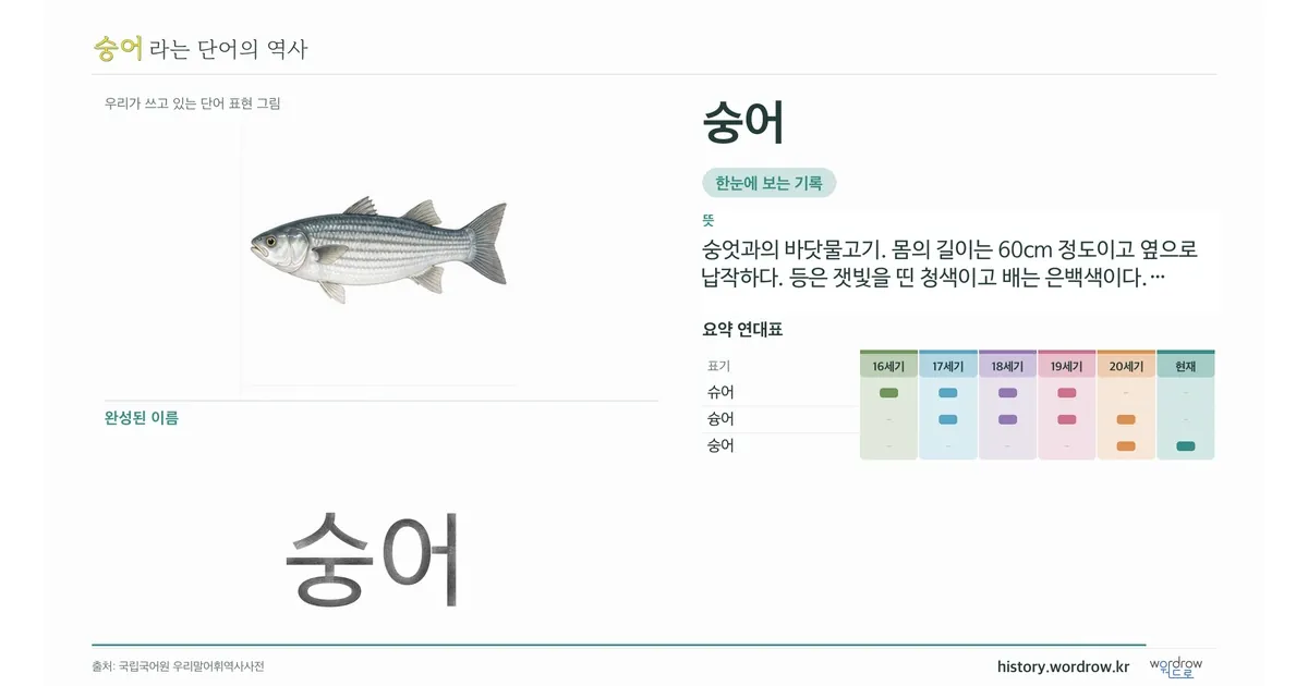 숭어 대표 이미지