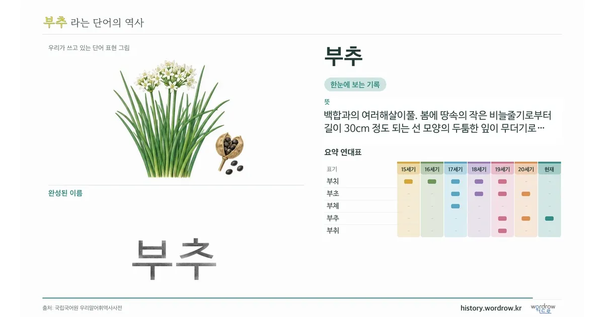 부추 대표 이미지