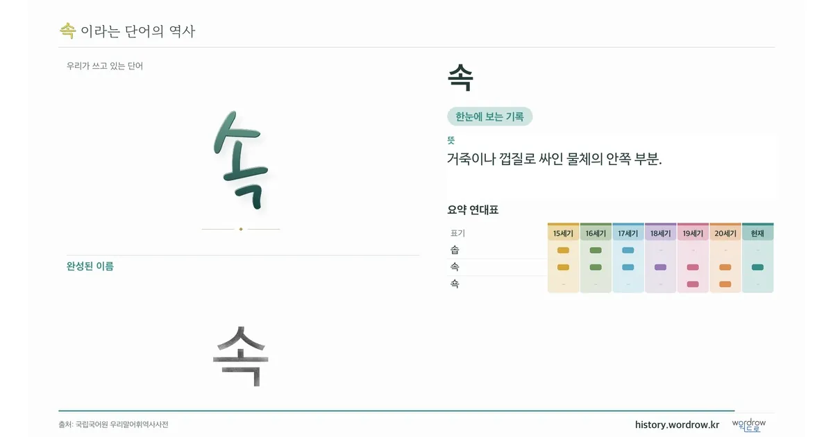 속 대표 이미지