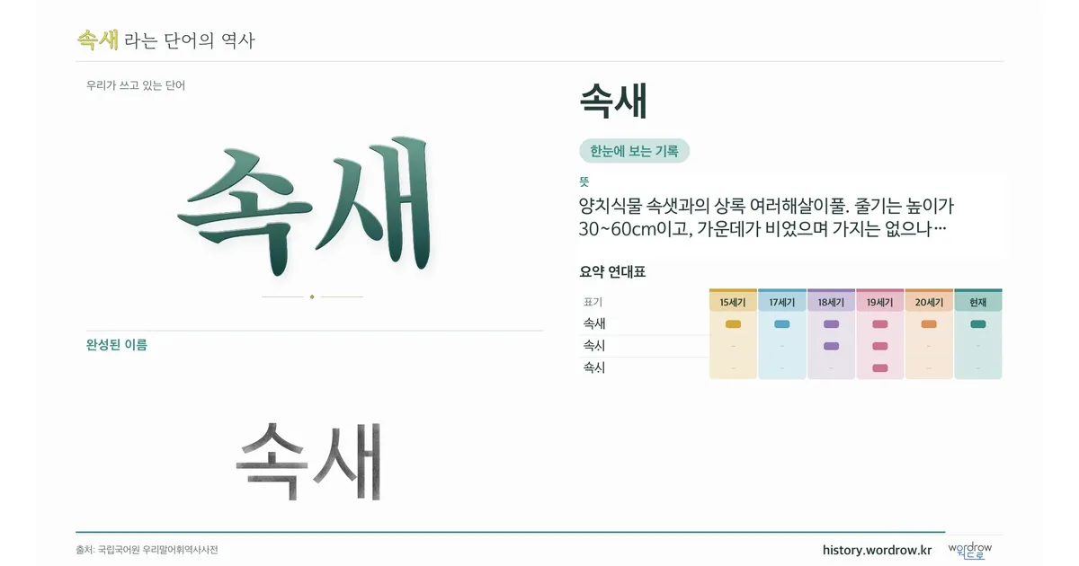 속새 대표 이미지