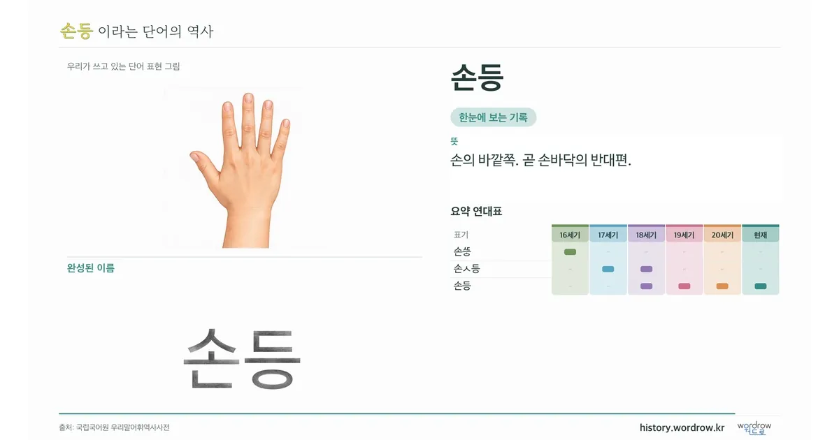 손등 대표 이미지