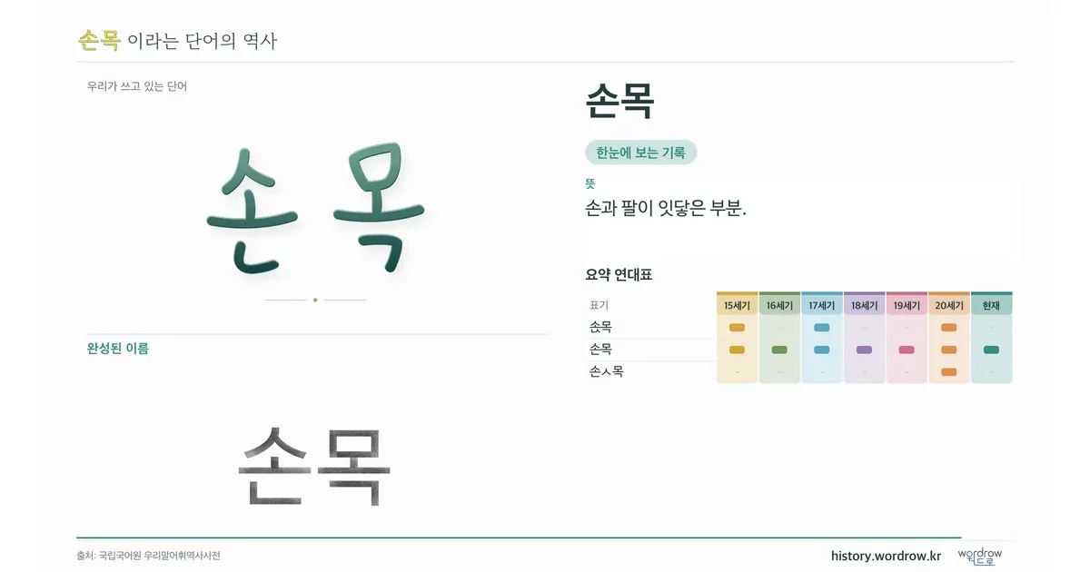 손목 대표 이미지