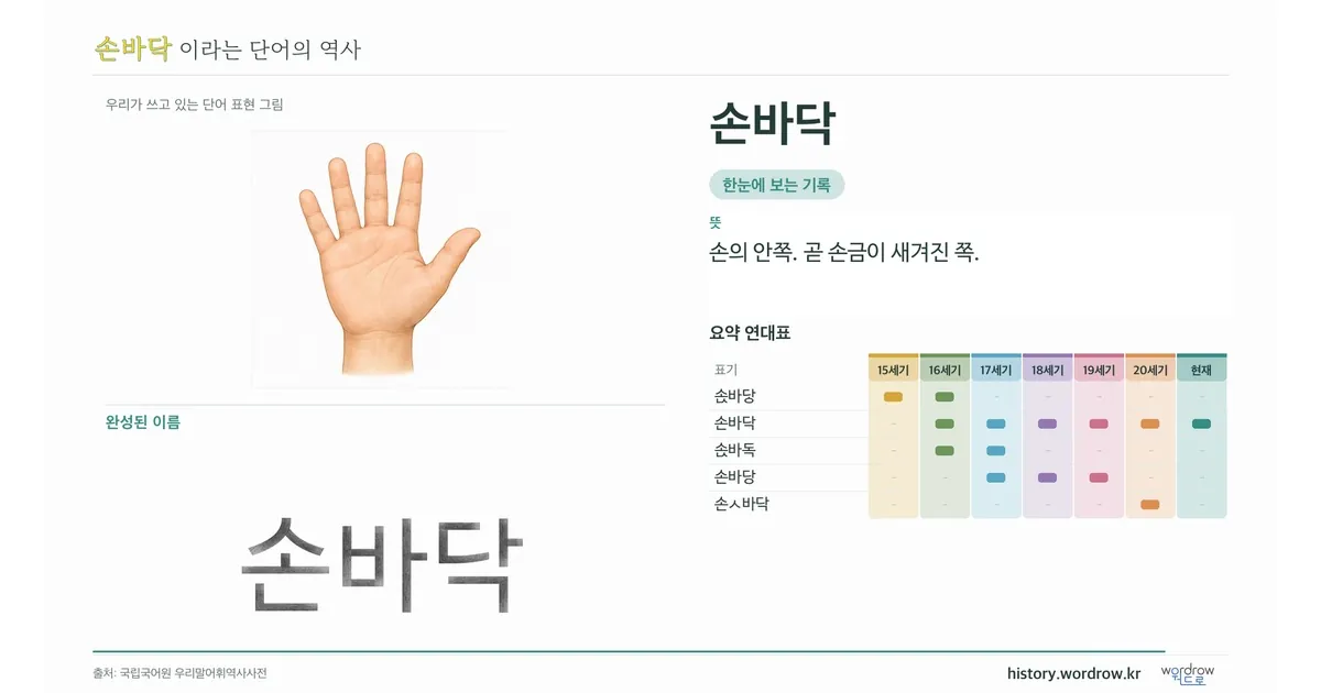 손바닥 대표 이미지