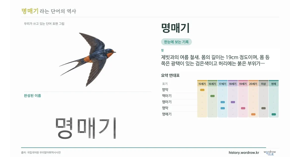 명매기 대표 이미지