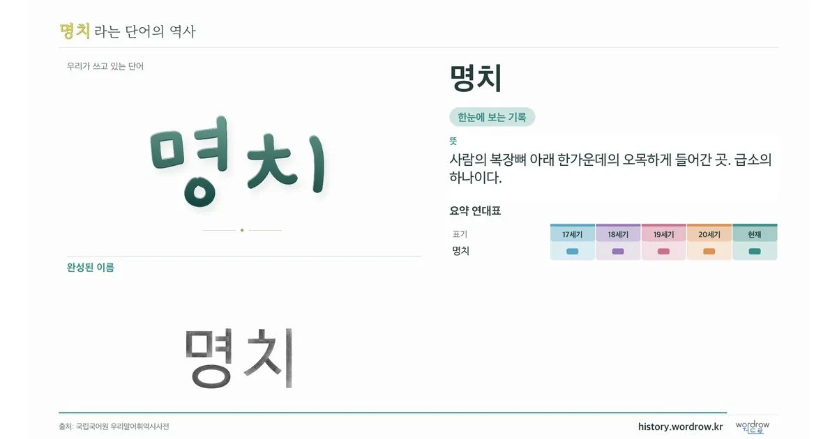 명치 대표 이미지