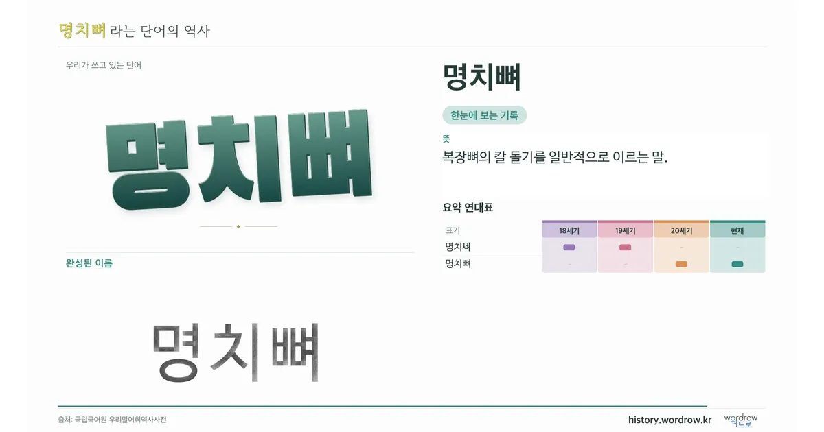 명치뼈 대표 이미지