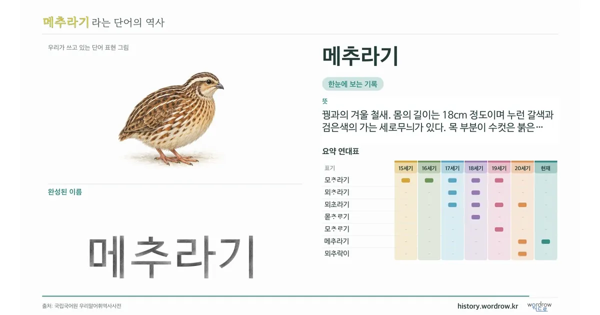 메추라기 대표 이미지