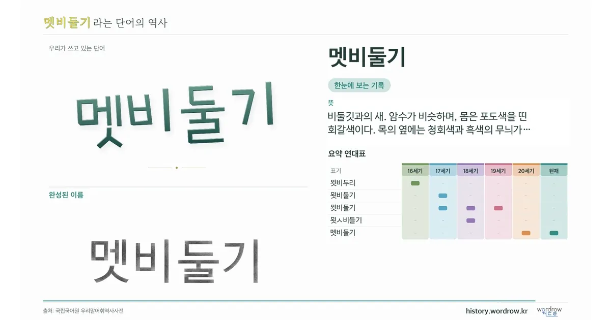 멧비둘기 대표 이미지