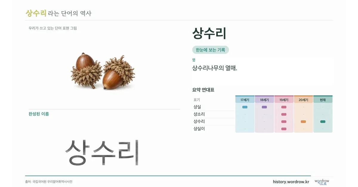 상수리 대표 이미지