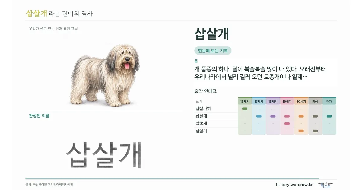 삽살개 대표 이미지