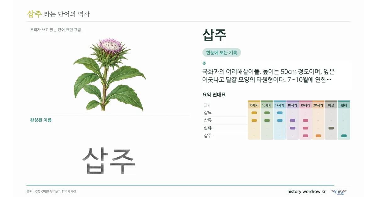 삽주 대표 이미지