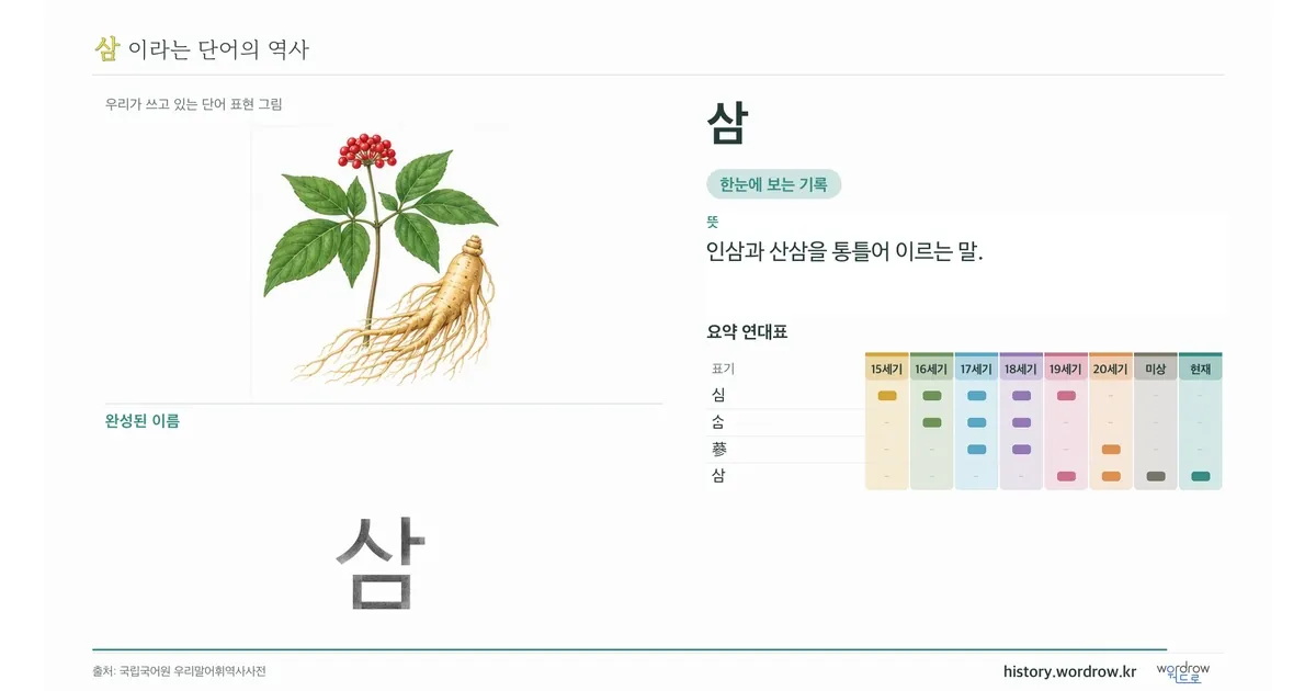 삼 대표 이미지