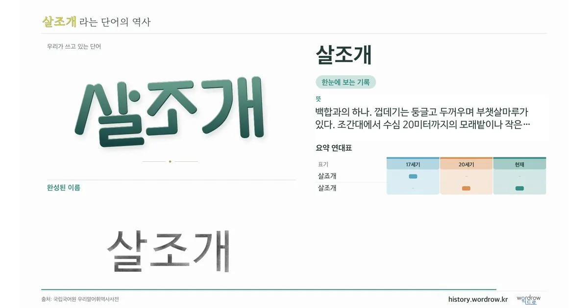 살조개 대표 이미지
