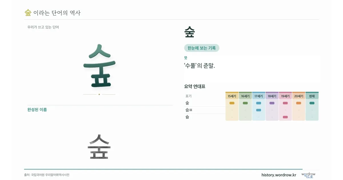 숲 대표 이미지