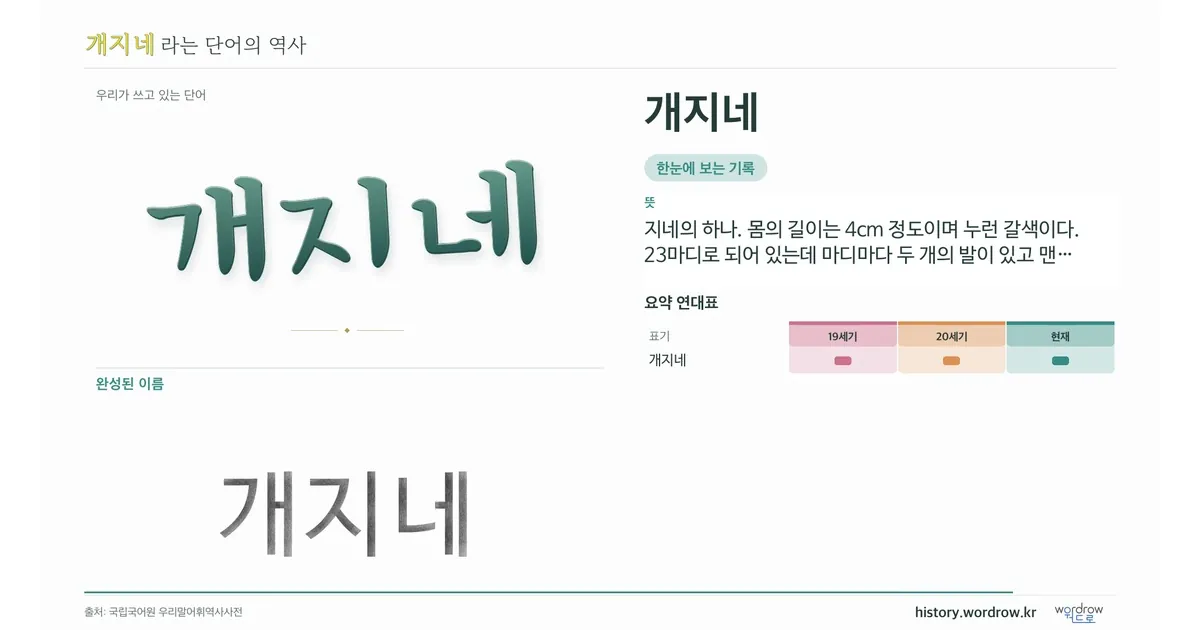 개지네 대표 이미지