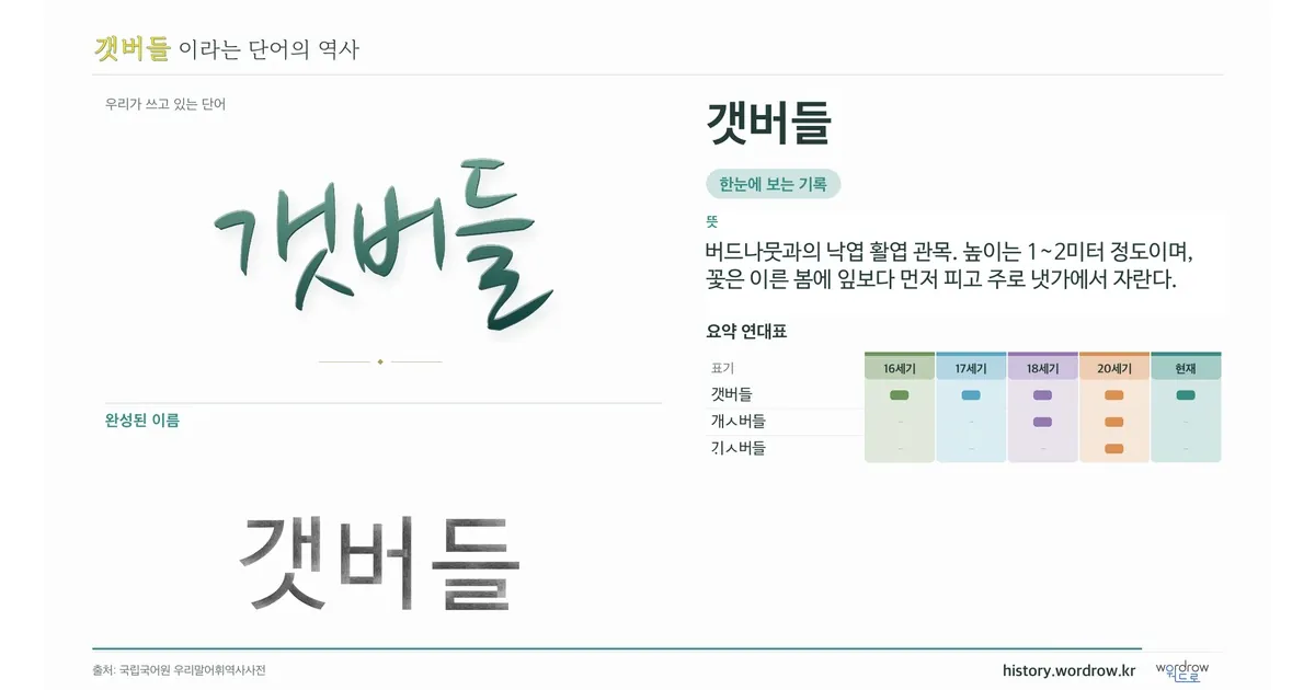 갯버들 대표 이미지