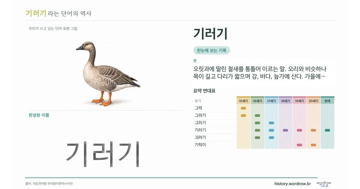 기러기 대표 이미지
