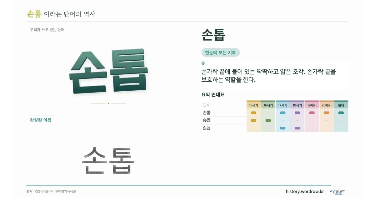 손톱 대표 이미지
