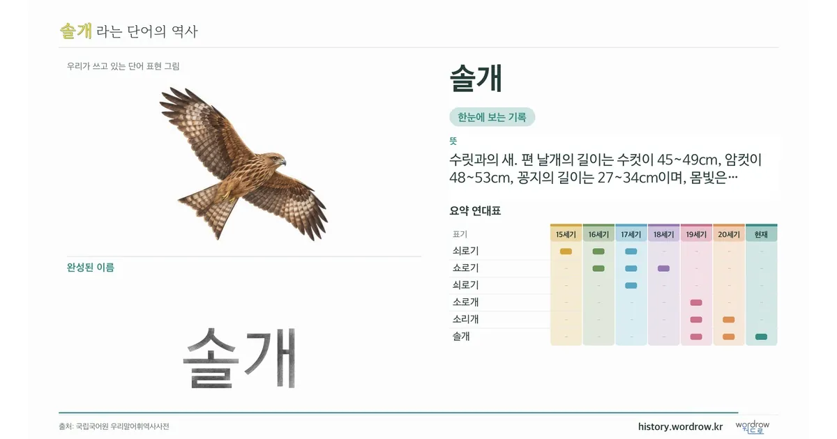 솔개 대표 이미지