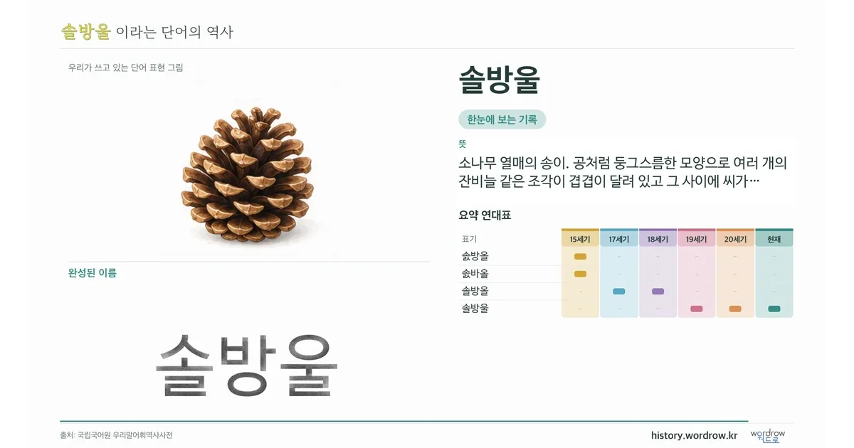 솔방울 대표 이미지